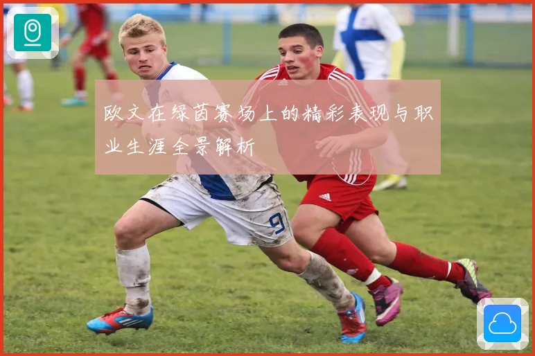 欧文在绿茵赛场上的精彩表现与职业生涯全景解析