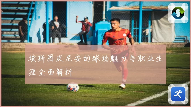 埃斯图皮尼安的球场魅力与职业生涯全面解析