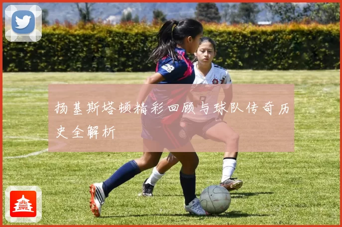 扬基斯塔顿精彩回顾与球队传奇历史全解析