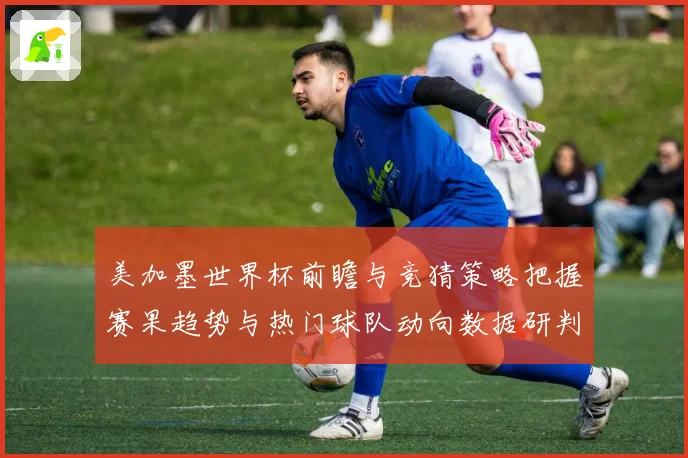 美加墨世界杯前瞻与竞猜策略把握赛果趋势与热门球队动向数据研判