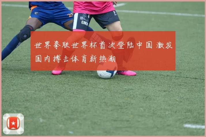 世界拳联世界杯首次登陆中国 激发国内搏击体育新热潮