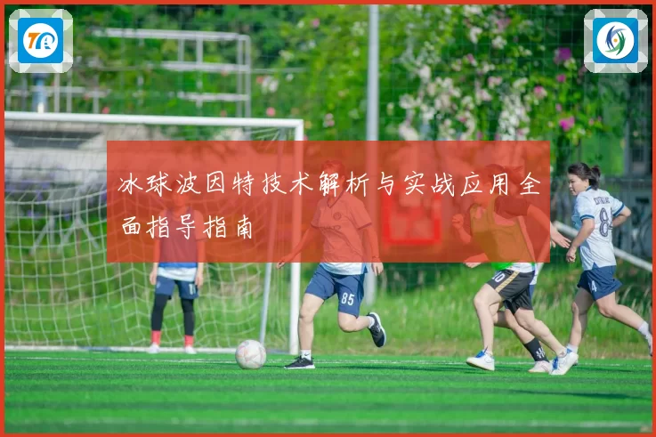 冰球波因特技术解析与实战应用全面指导指南