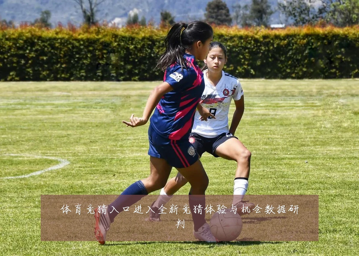 体育竞猜入口进入全新竞猜体验与机会数据研判